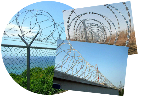 谈球吧投注